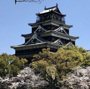 JAPON - Au pays du soleil levant