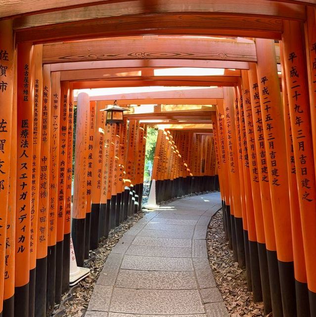 JAPON - Les