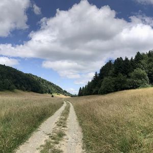 FRANCE - Grande traversée du Jura (sud)